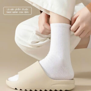 Tất Vớ Nam Nữ Cổ Cao Trơn Cotton